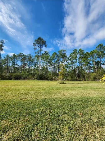 a view of a garden with a building in the background