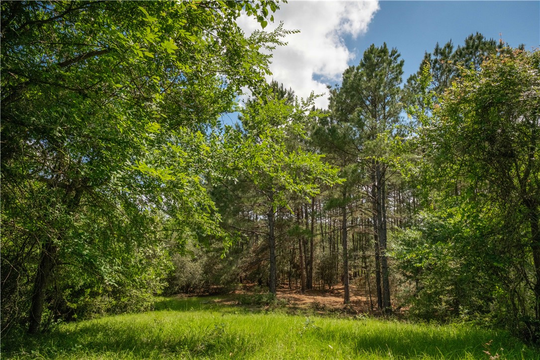 2199 Navasota Ridge Navasota, TX 77868 - Photo 10 of 30