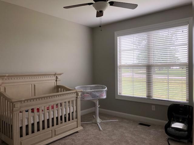 4386 Thick Road Chapel Hill, TN 37034 - Photo 14 of 19 Gallery Image 14