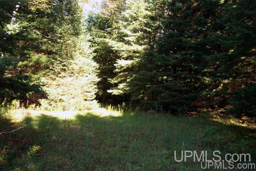 Tbd 140 Acres Off Parkington Road Gulliver, MI 49840 - Photo 6 of 11