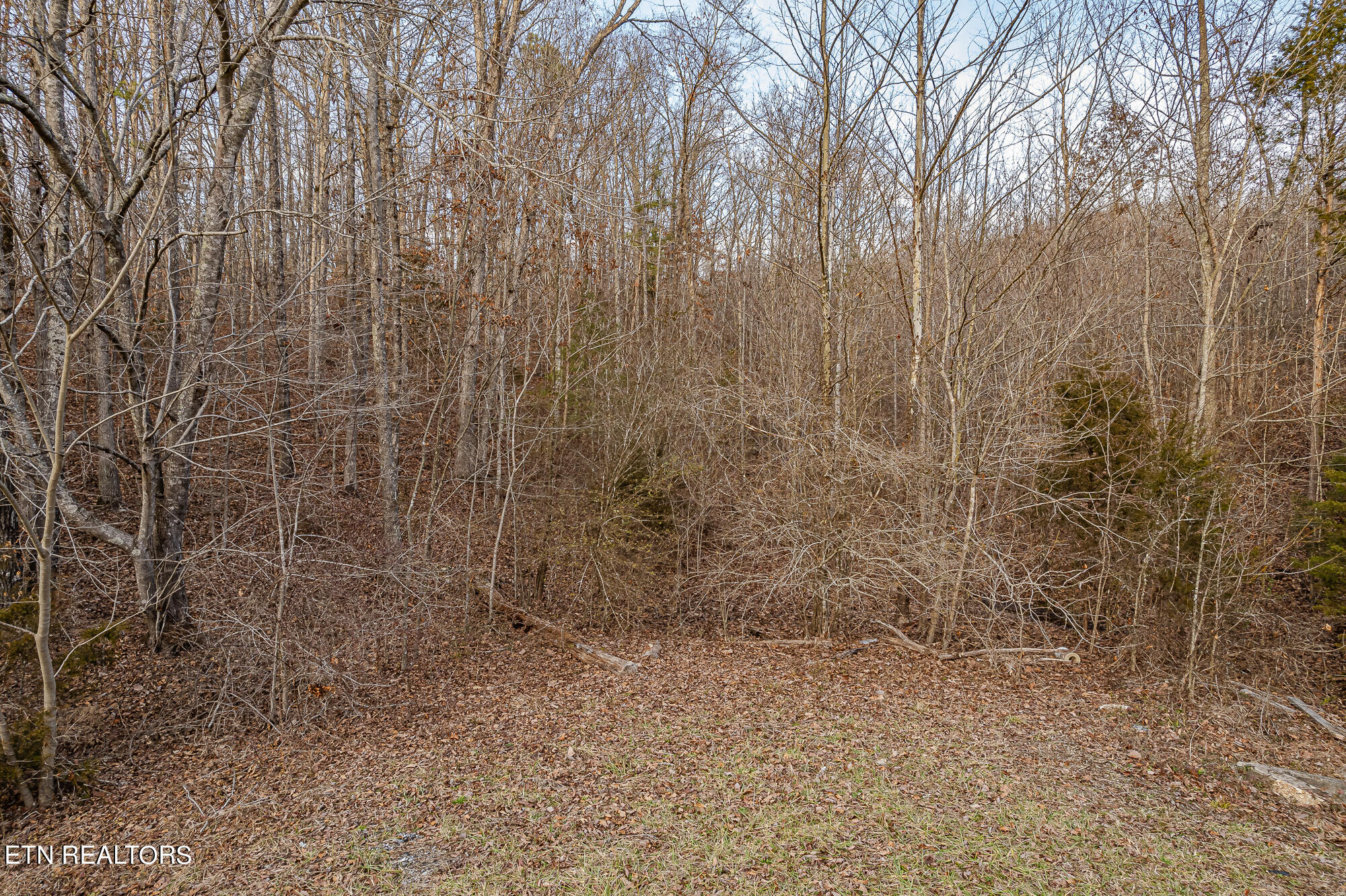 0 Upper Concord Road Ten Mile, TN 37880 - Photo 5 of 8 Highway 68-7