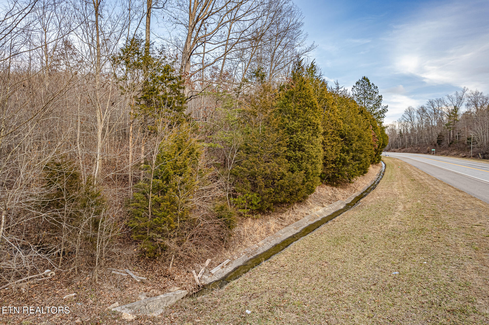 0 Upper Concord Road Ten Mile, TN 37880 - Photo 6 of 8 Highway 68-8