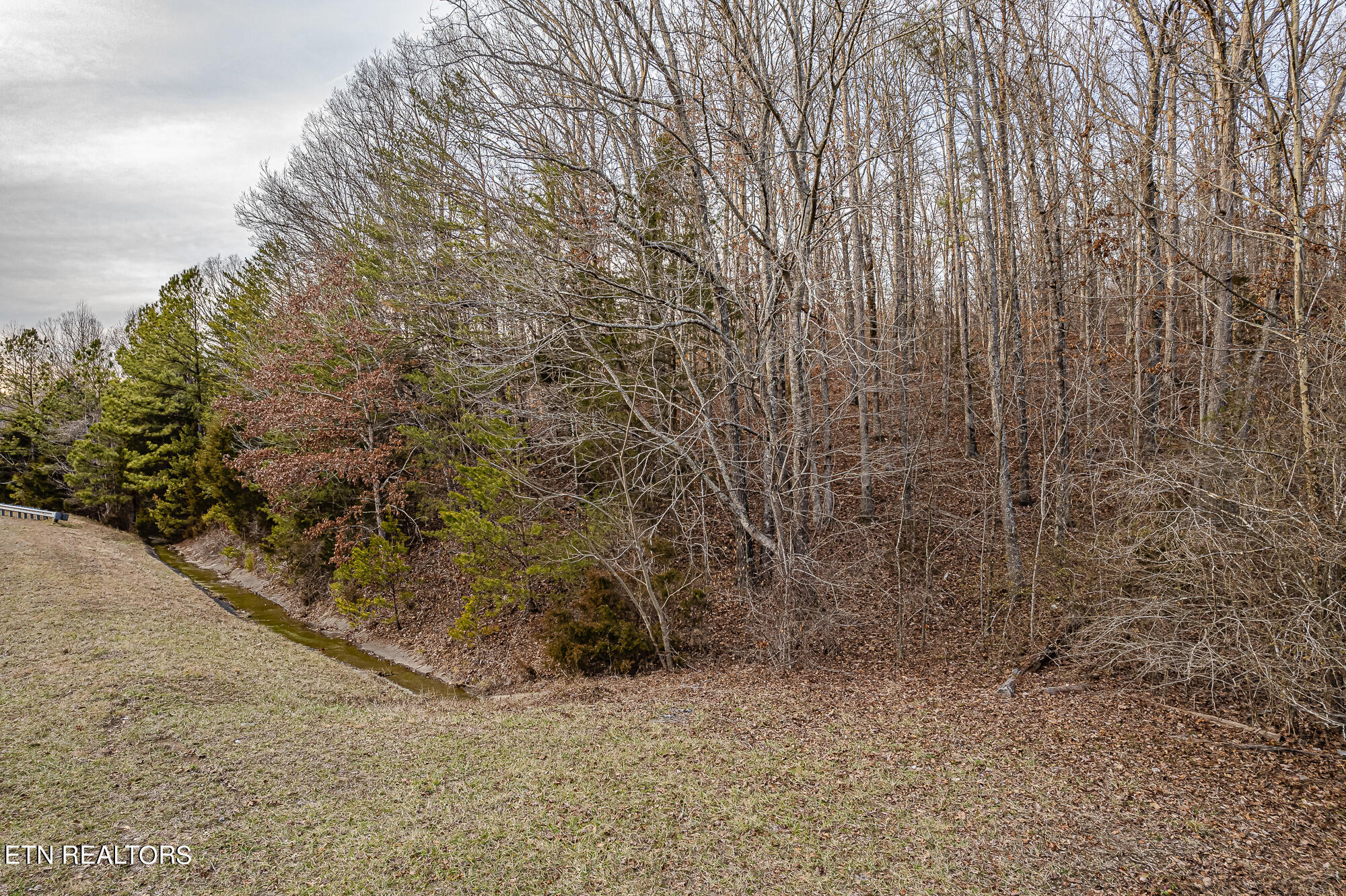 0 Upper Concord Road Ten Mile, TN 37880 - Photo 7 of 8 Highway 68-9