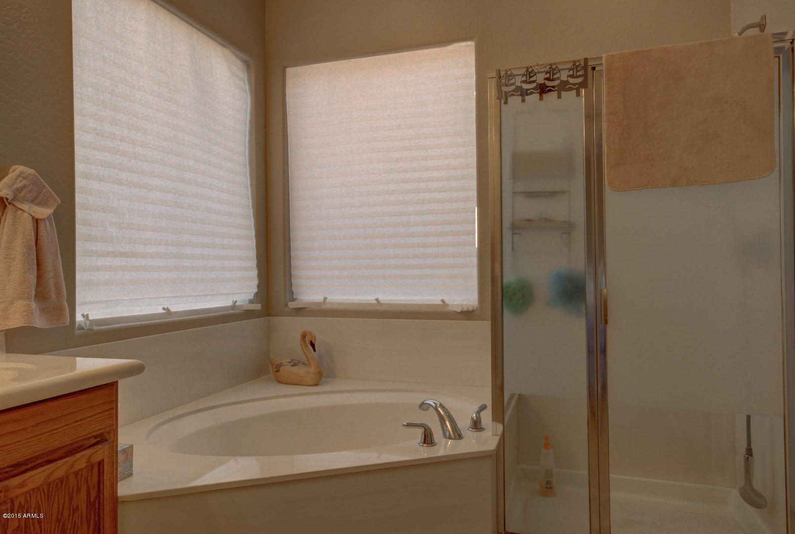 5630 West Carson Road Laveen, AZ 85339 - Photo 16 of 46 MASTER BATHROOM W/TUB & SHOWER