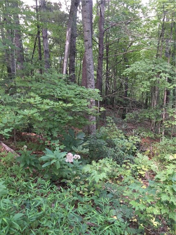 11 Whitaker View Road, Unit 10/11 Fairview, NC 28730 - Photo 1 of 4 Gallery Image 1