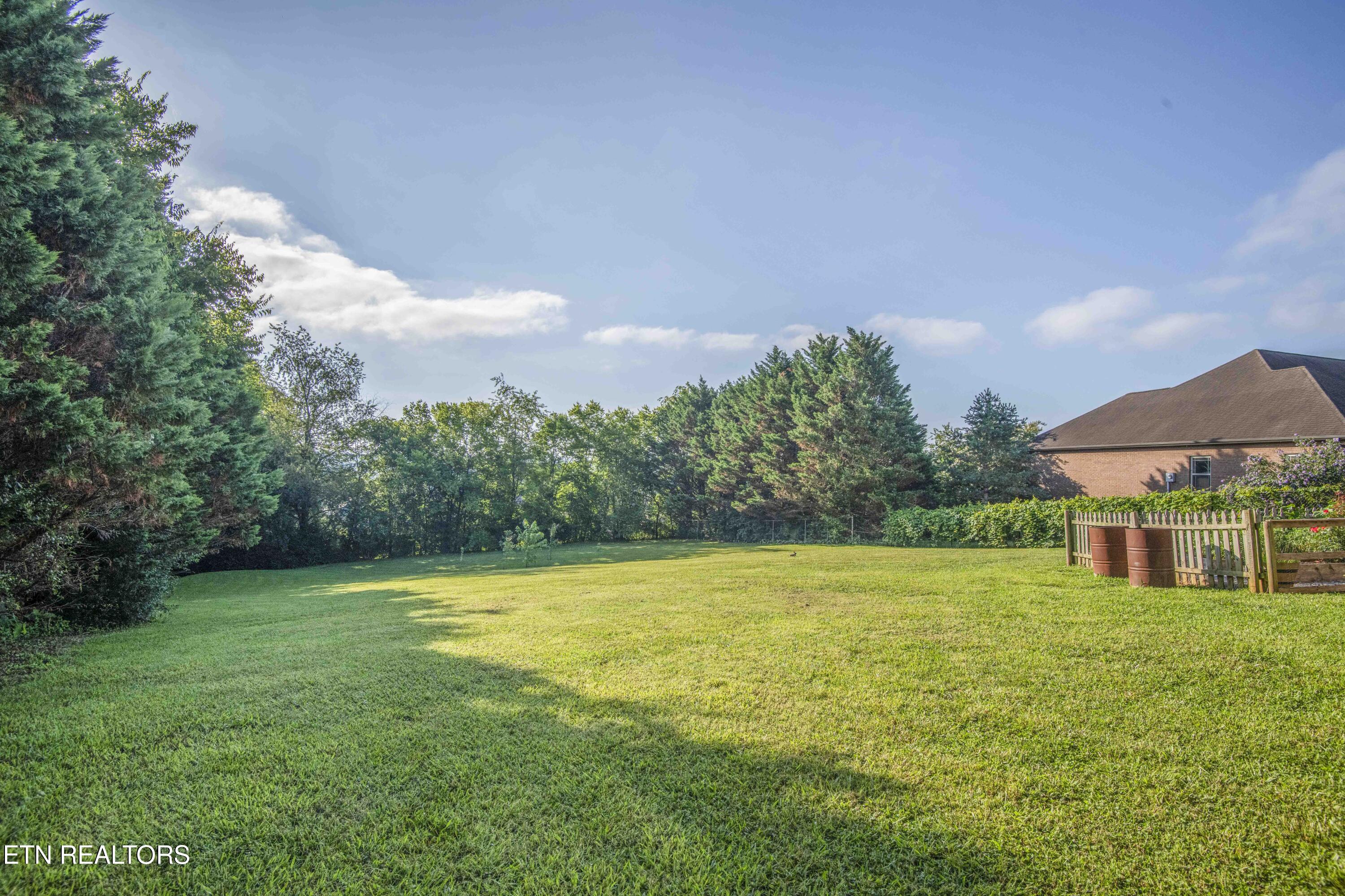 1435 Instrumental Avenue Sevierville, TN 37876 - Photo 47 of 57 49_1
