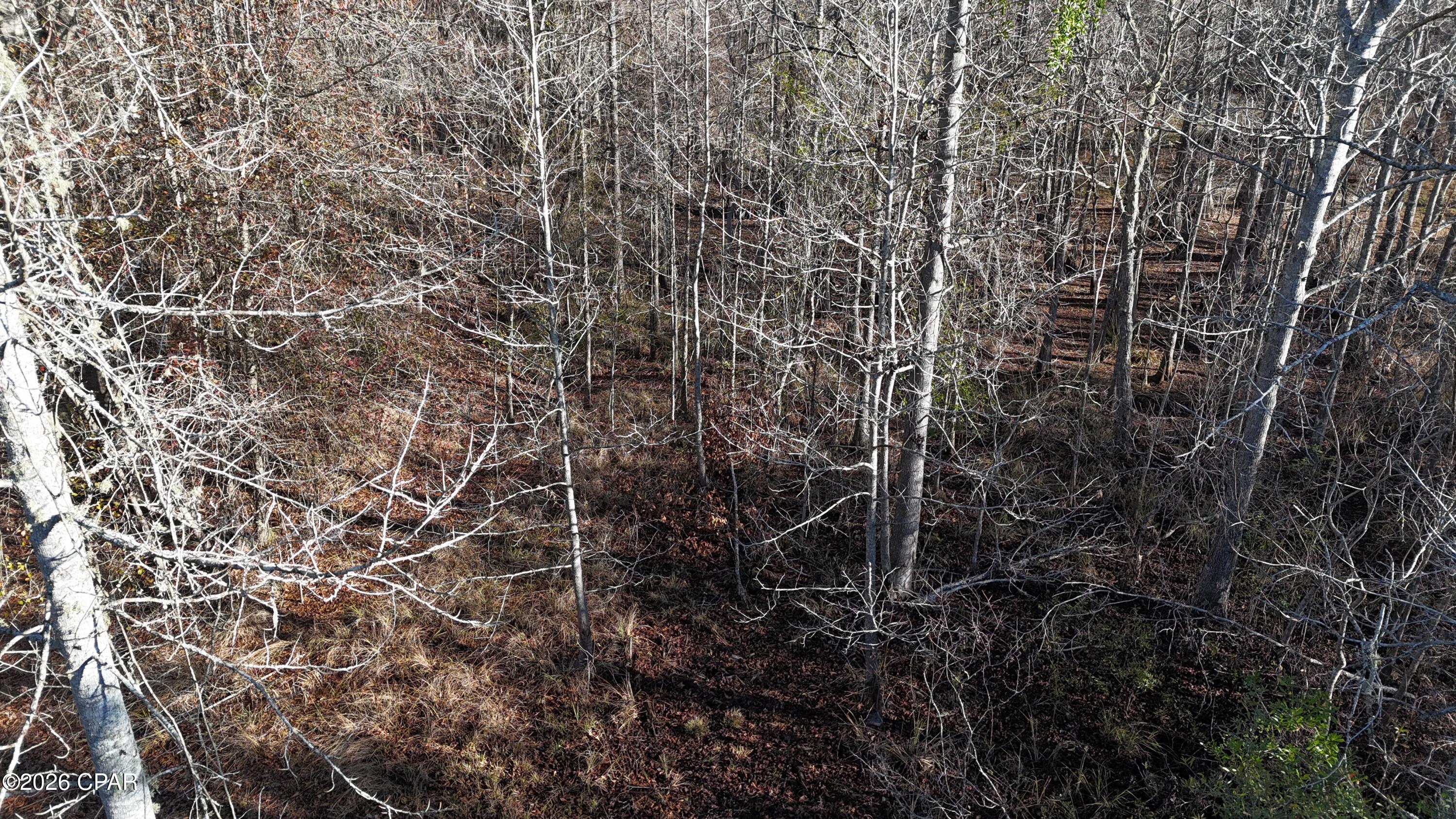 3120 Mount Olive Road Bonifay, FL 32425 - Photo 11 of 11