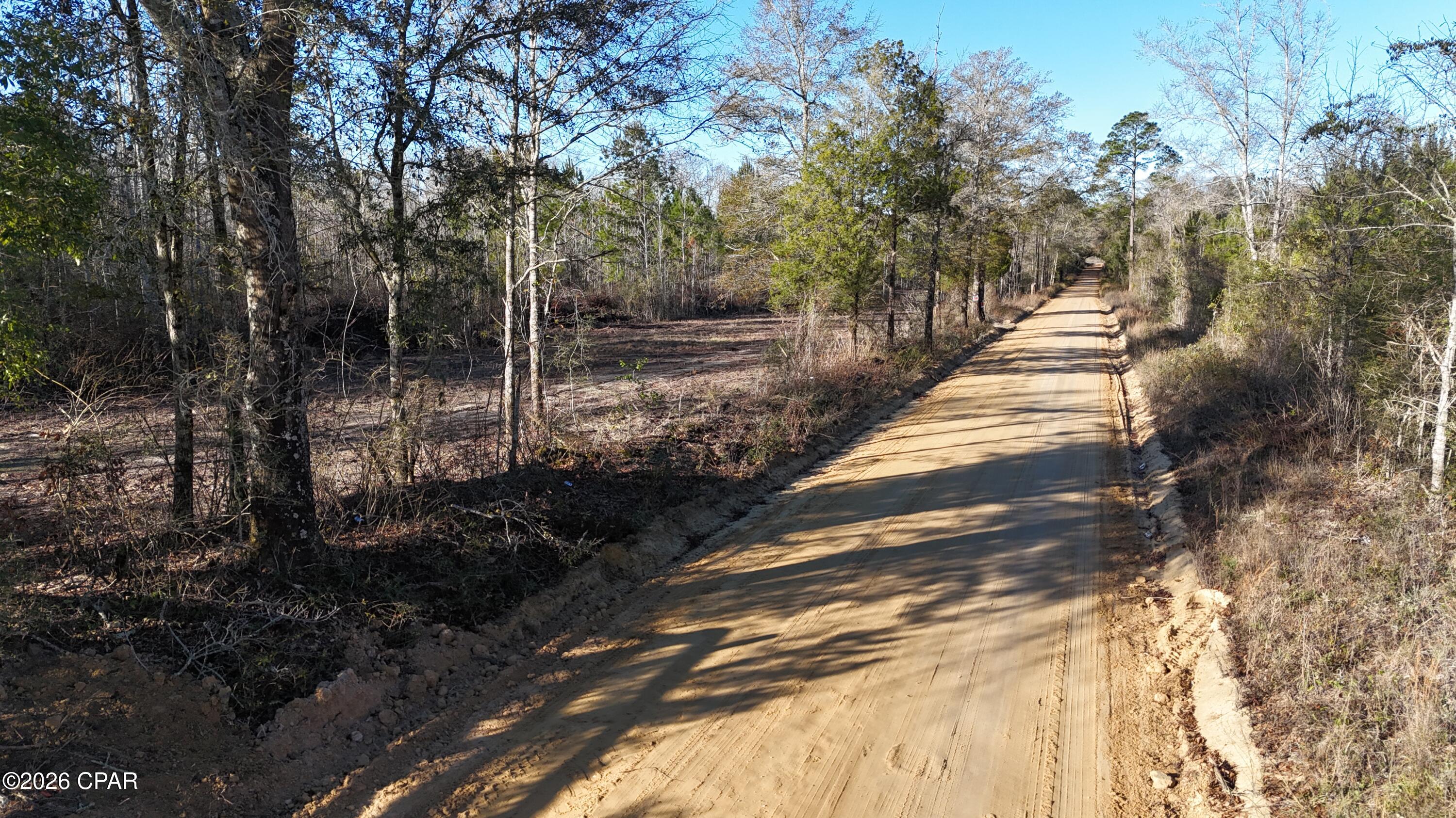 3120 Mount Olive Road Bonifay, FL 32425 - Photo 4 of 11