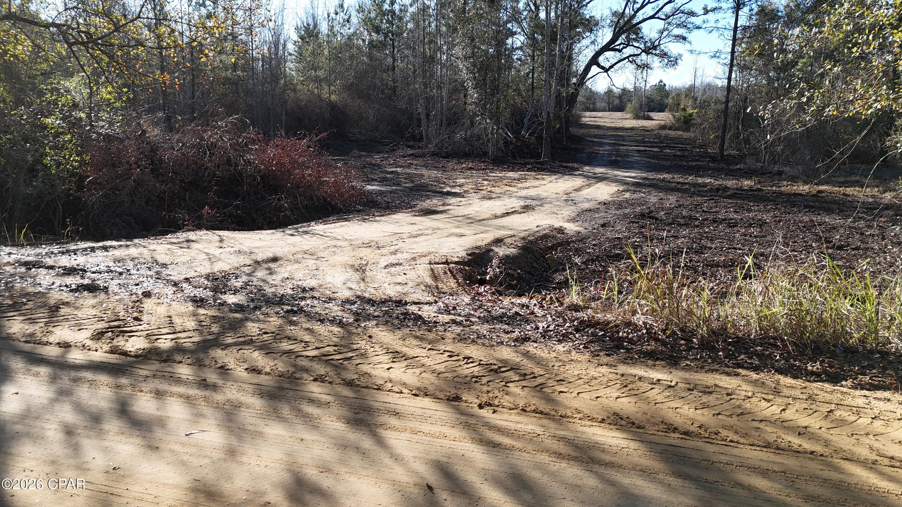 3120 Mount Olive Road Bonifay, FL 32425 - Photo 6 of 11