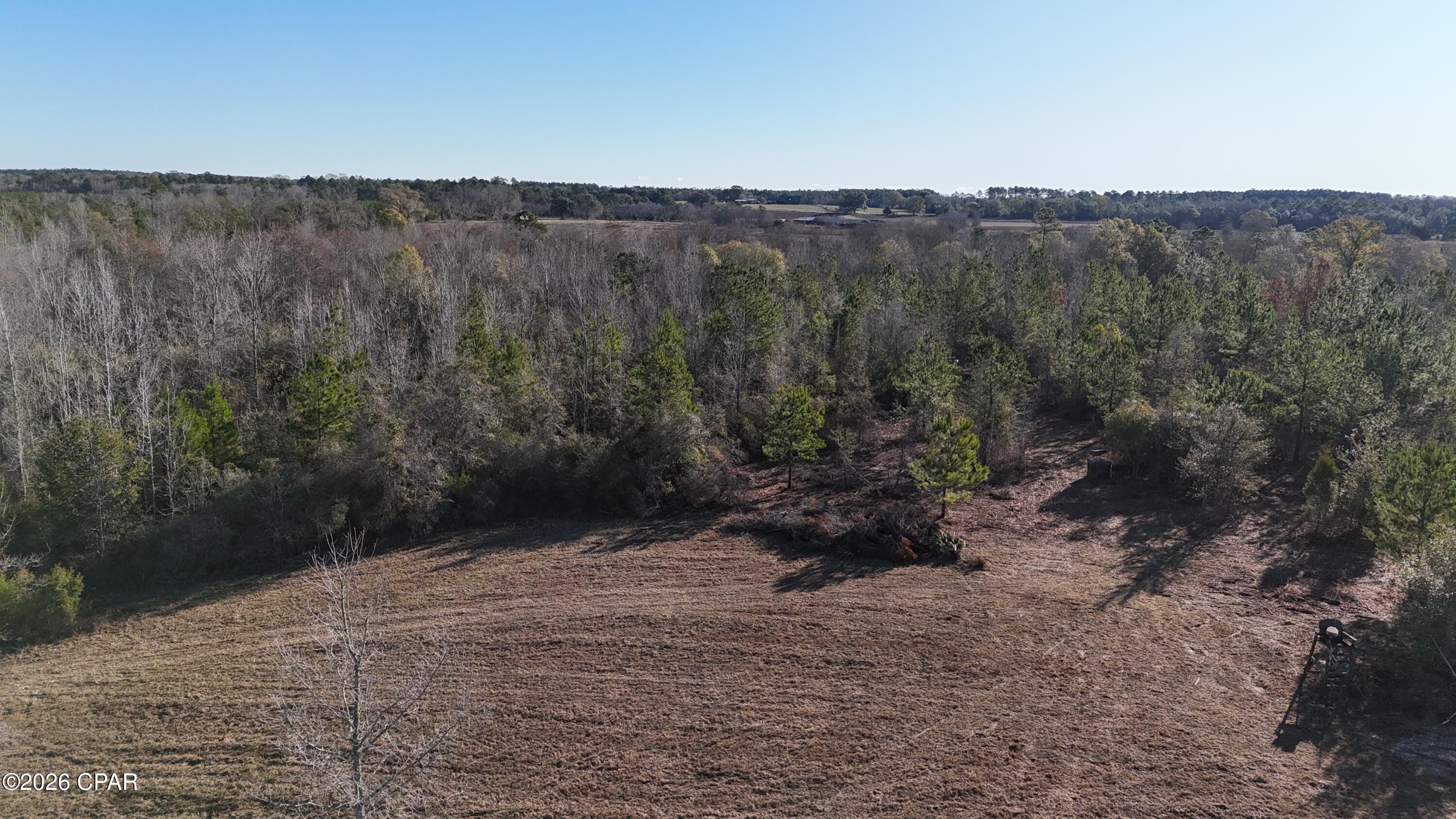 3120 Mount Olive Road Bonifay, FL 32425 - Photo 8 of 11