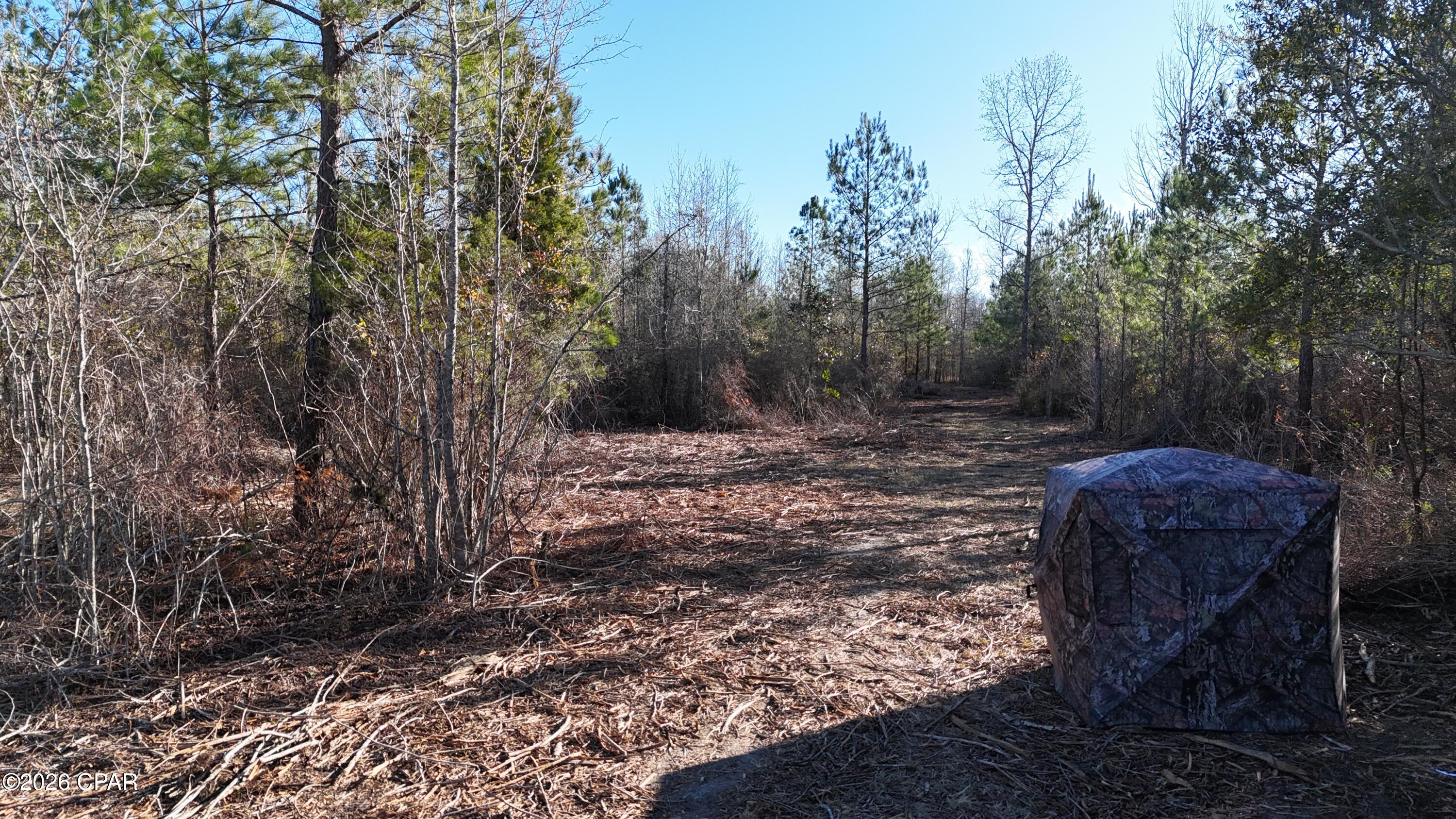 3120 Mount Olive Road Bonifay, FL 32425 - Photo 10 of 11