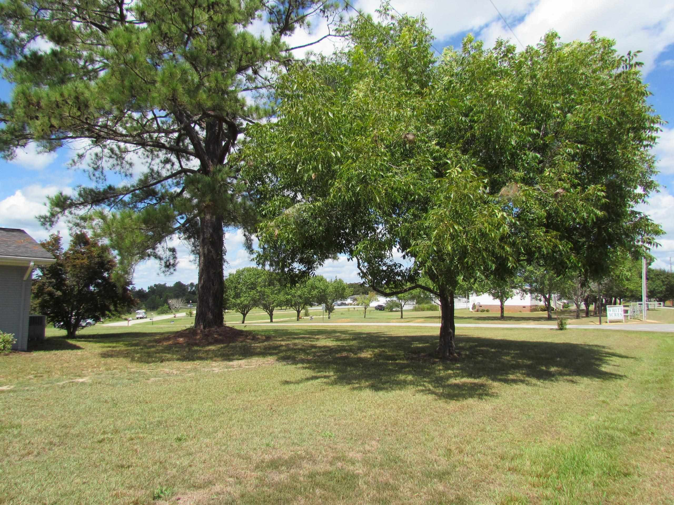 231 Whittington Road Angier, NC 27501 - Photo 28 of 28 Photo 28