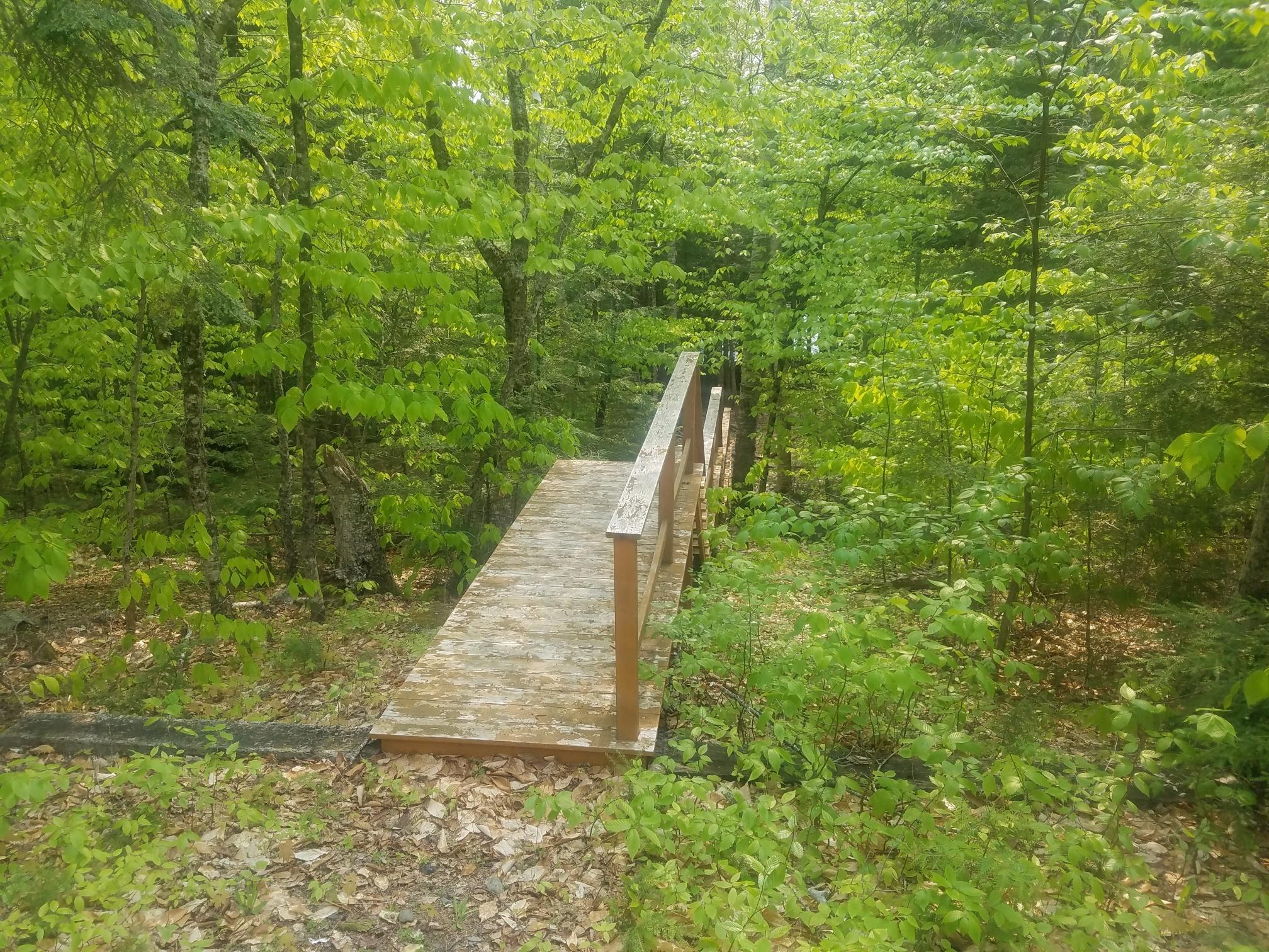 388 Bluff Road Enfield, ME 04493 - Photo 5 of 23 4