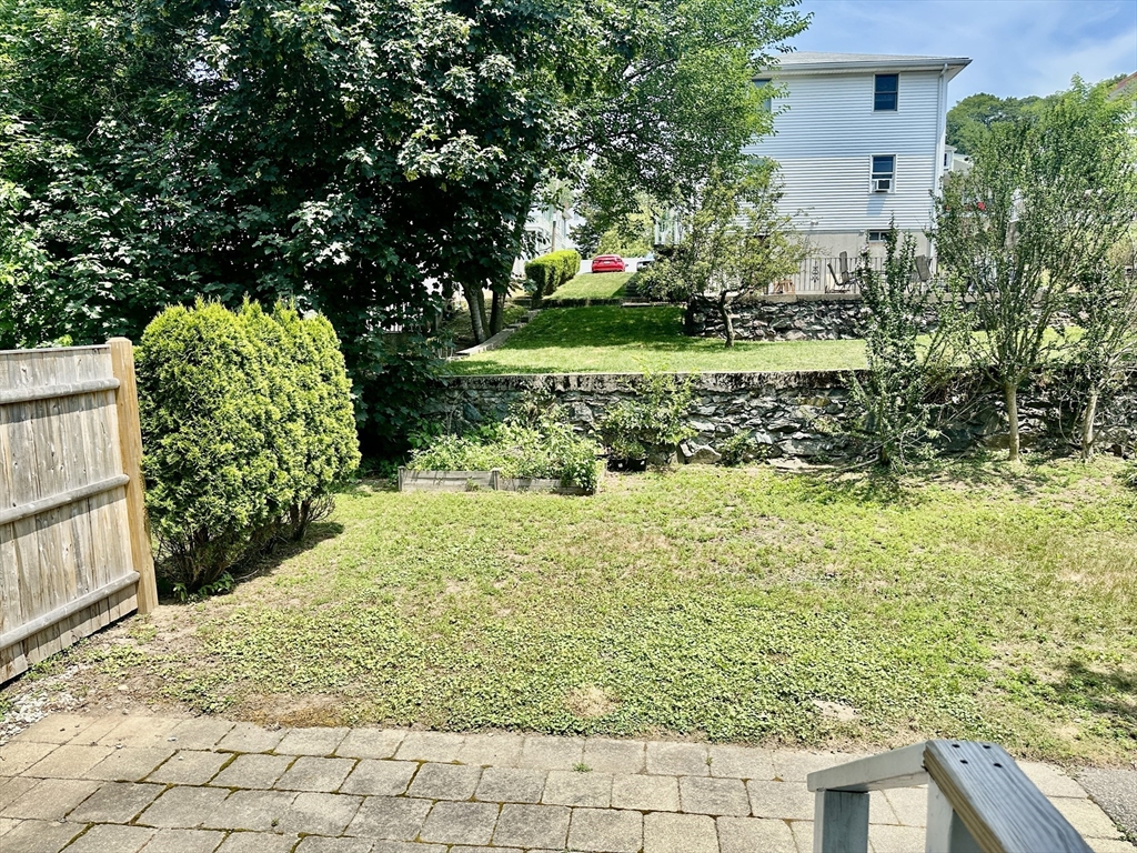 183 Summer Street, Unit 183 Watertown, MA 02472 - Photo 11 of 12 a view of a garden with plants