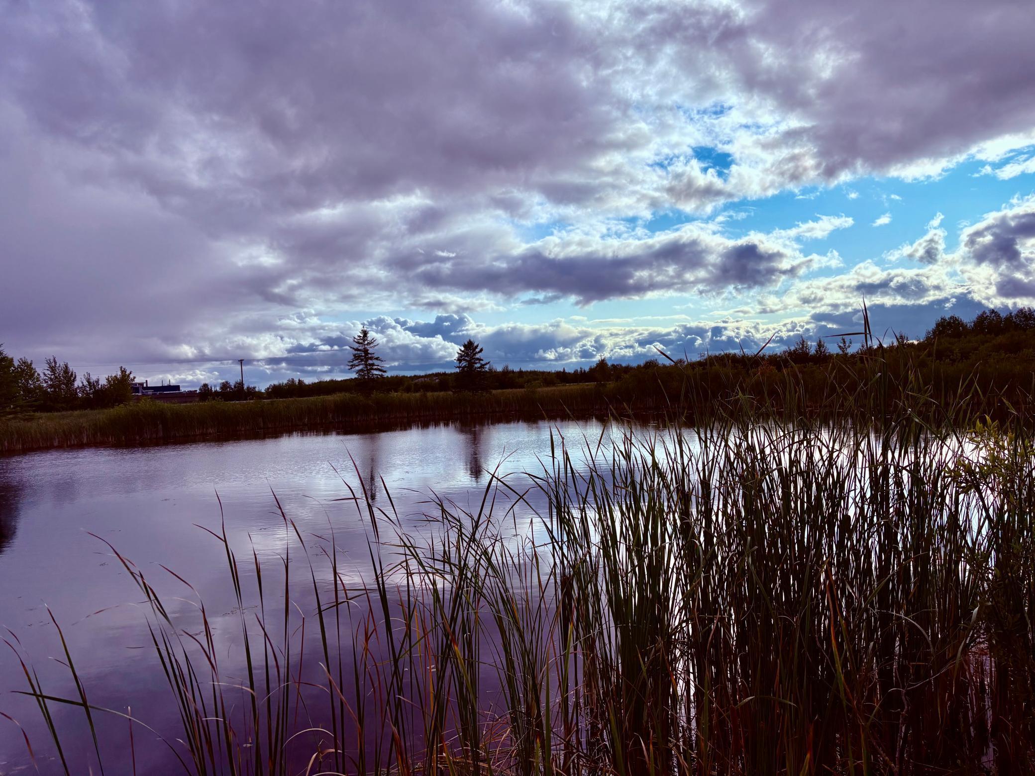 Tbd 7th Street Southwest Baudette, MN 56623 - Photo 1 of 16
