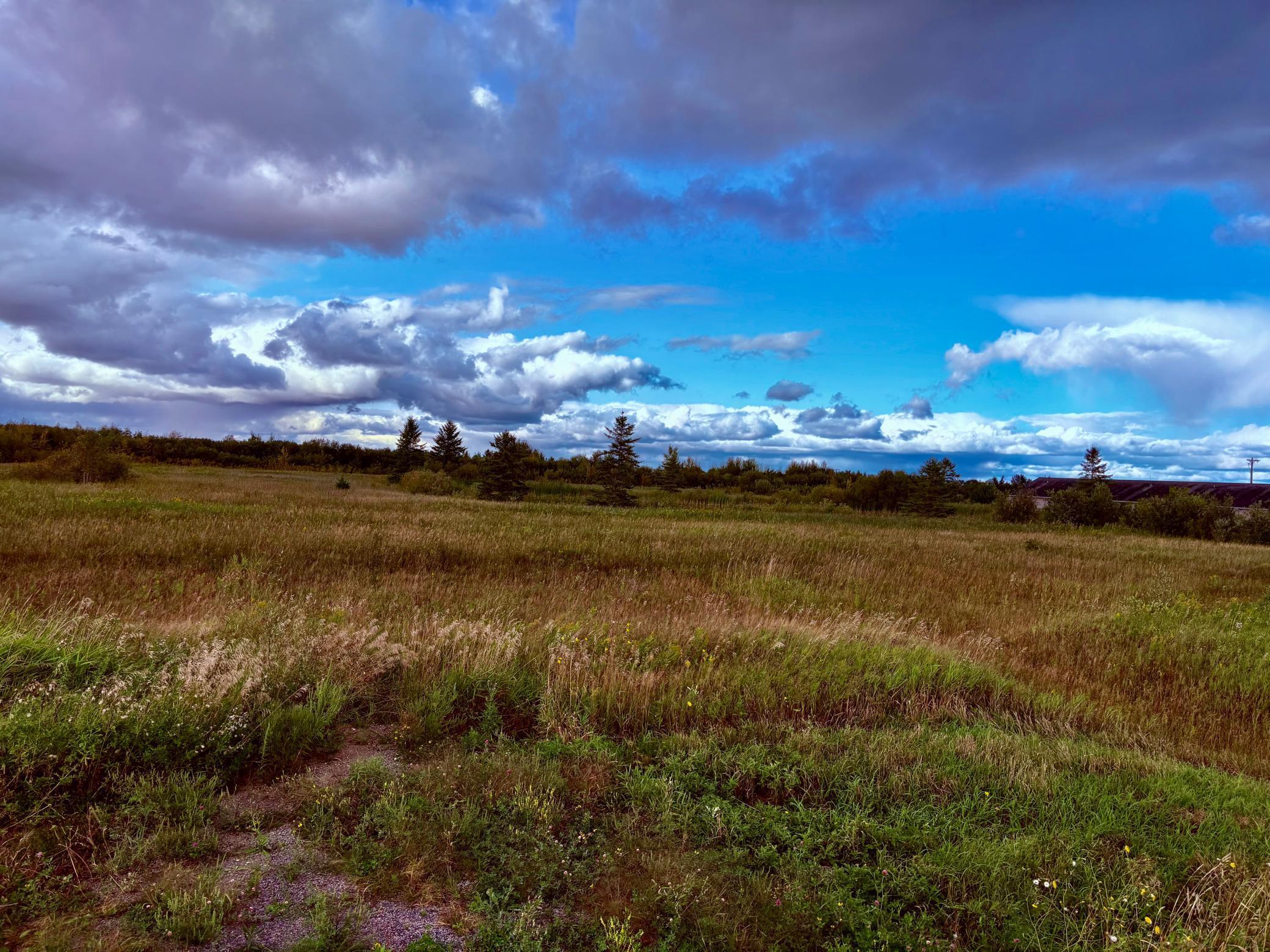 Tbd 7th Street Southwest Baudette, MN 56623 - Photo 11 of 16