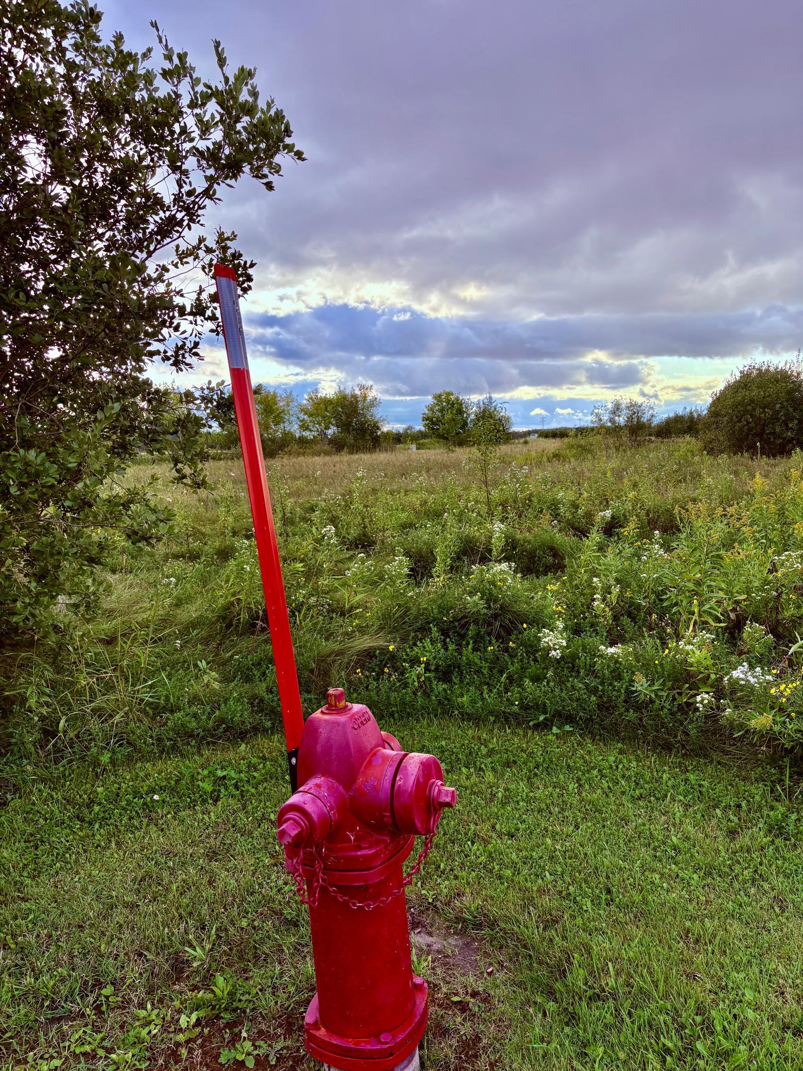 Tbd 7th Street Southwest Baudette, MN 56623 - Photo 15 of 16