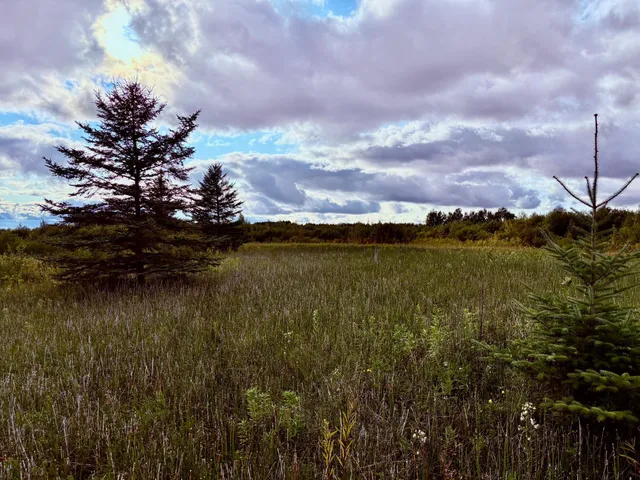 $209,000 | Tbd 7th Street Southwest, Baudette, MN 56623