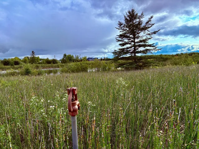 $209,000 | Tbd 7th Street Southwest, Baudette, MN 56623