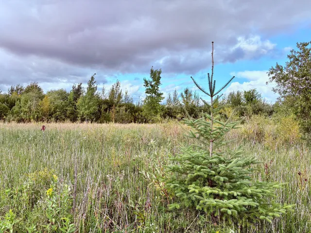 $209,000 | Tbd 7th Street Southwest, Baudette, MN 56623