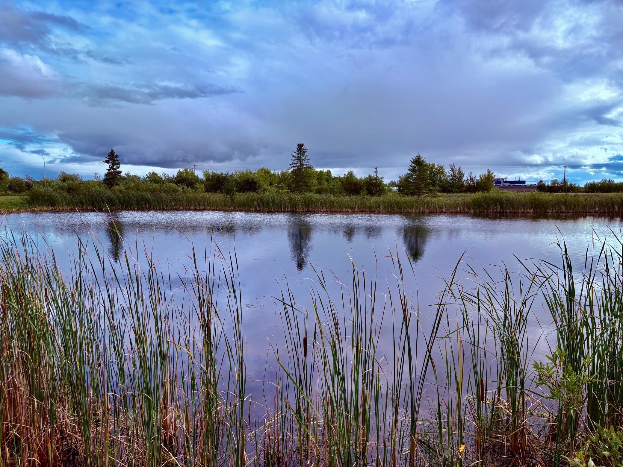 Tbd 7th Street Southwest Baudette, MN 56623 - Photo 6 of 16