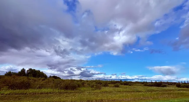 $209,000 | Tbd 7th Street Southwest, Baudette, MN 56623