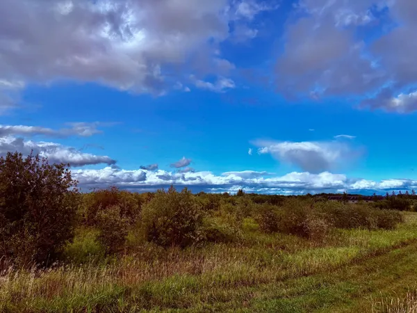$209,000 | Tbd 7th Street Southwest, Baudette, MN 56623