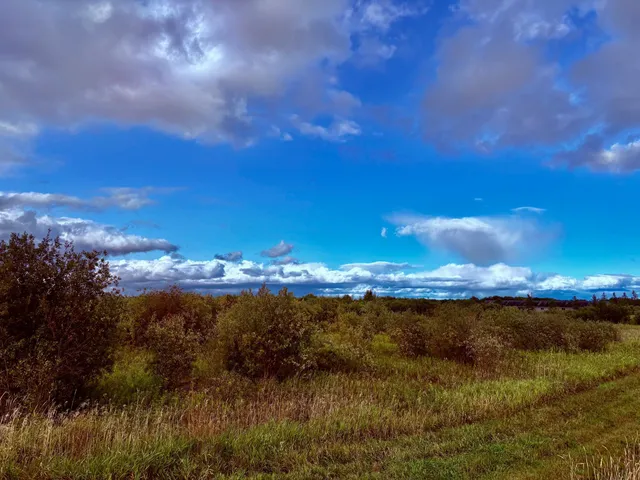 $209,000 | Tbd 7th Street Southwest, Baudette, MN 56623