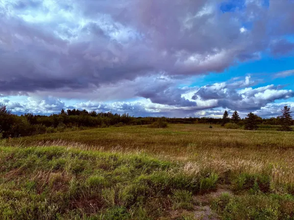 $209,000 | Tbd 7th Street Southwest, Baudette, MN 56623