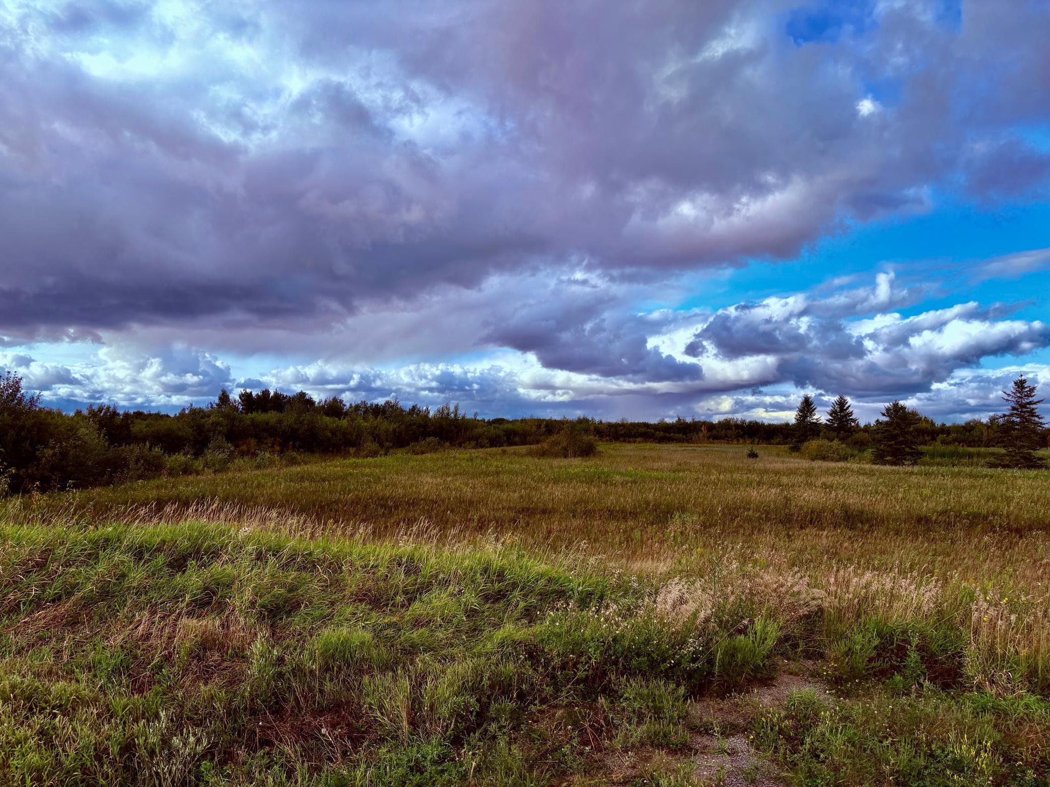 Tbd 7th Street Southwest Baudette, MN 56623 - Photo 10 of 16