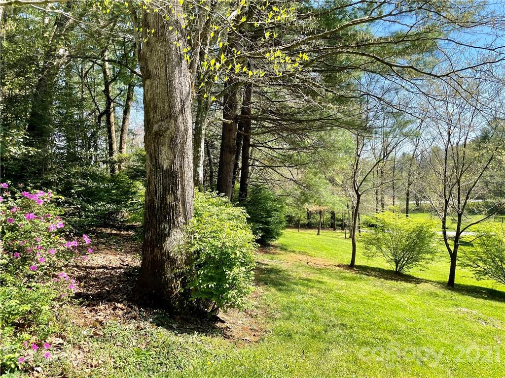 71 Capps Road Pisgah Forest, NC 28768 - Photo 16 of 21 Gallery Image 16