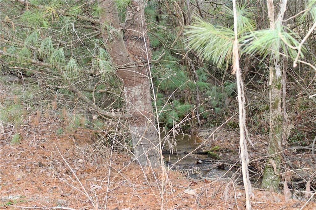 71 Capps Road Pisgah Forest, NC 28768 - Photo 20 of 21 Gallery Image 20