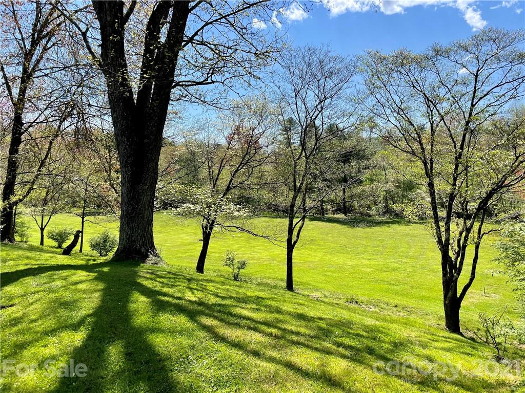 71 Capps Road Pisgah Forest, NC 28768 - Photo 3 of 21 Gallery Image 3