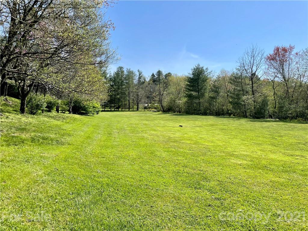 71 Capps Road Pisgah Forest, NC 28768 - Photo 4 of 21 Gallery Image 4