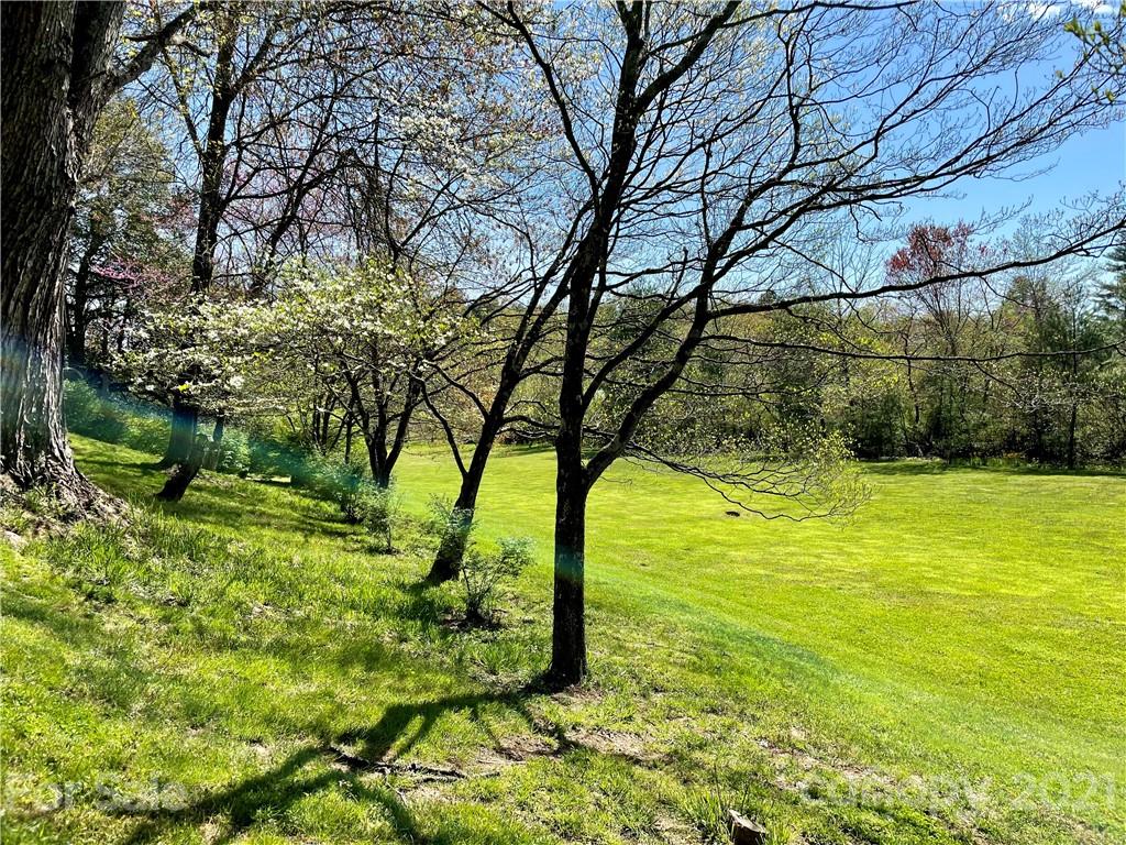 71 Capps Road Pisgah Forest, NC 28768 - Photo 5 of 21 Gallery Image 5
