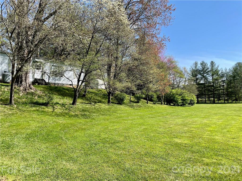71 Capps Road Pisgah Forest, NC 28768 - Photo 6 of 21 Gallery Image 6