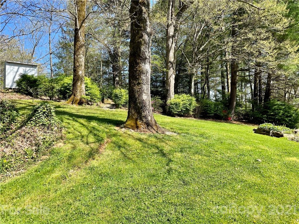 71 Capps Road Pisgah Forest, NC 28768 - Photo 8 of 21 Gallery Image 8