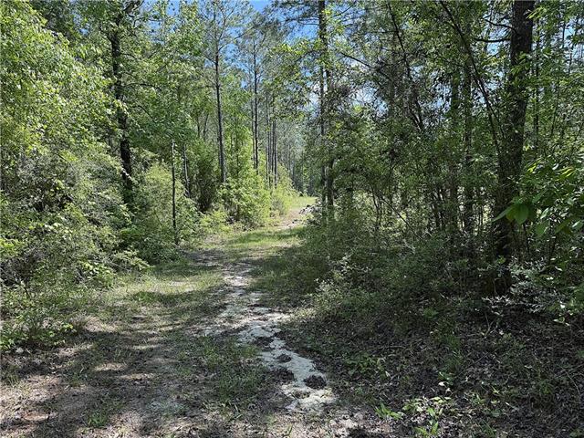 14.78-acres Sidney Spell Road Bush, LA 70431 - Photo 6 of 7