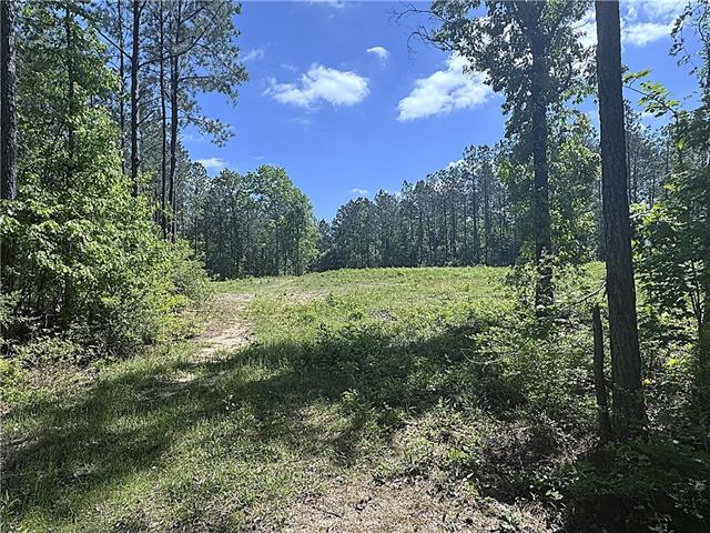 14.78-acres Sidney Spell Road Bush, LA 70431 - Photo 7 of 7