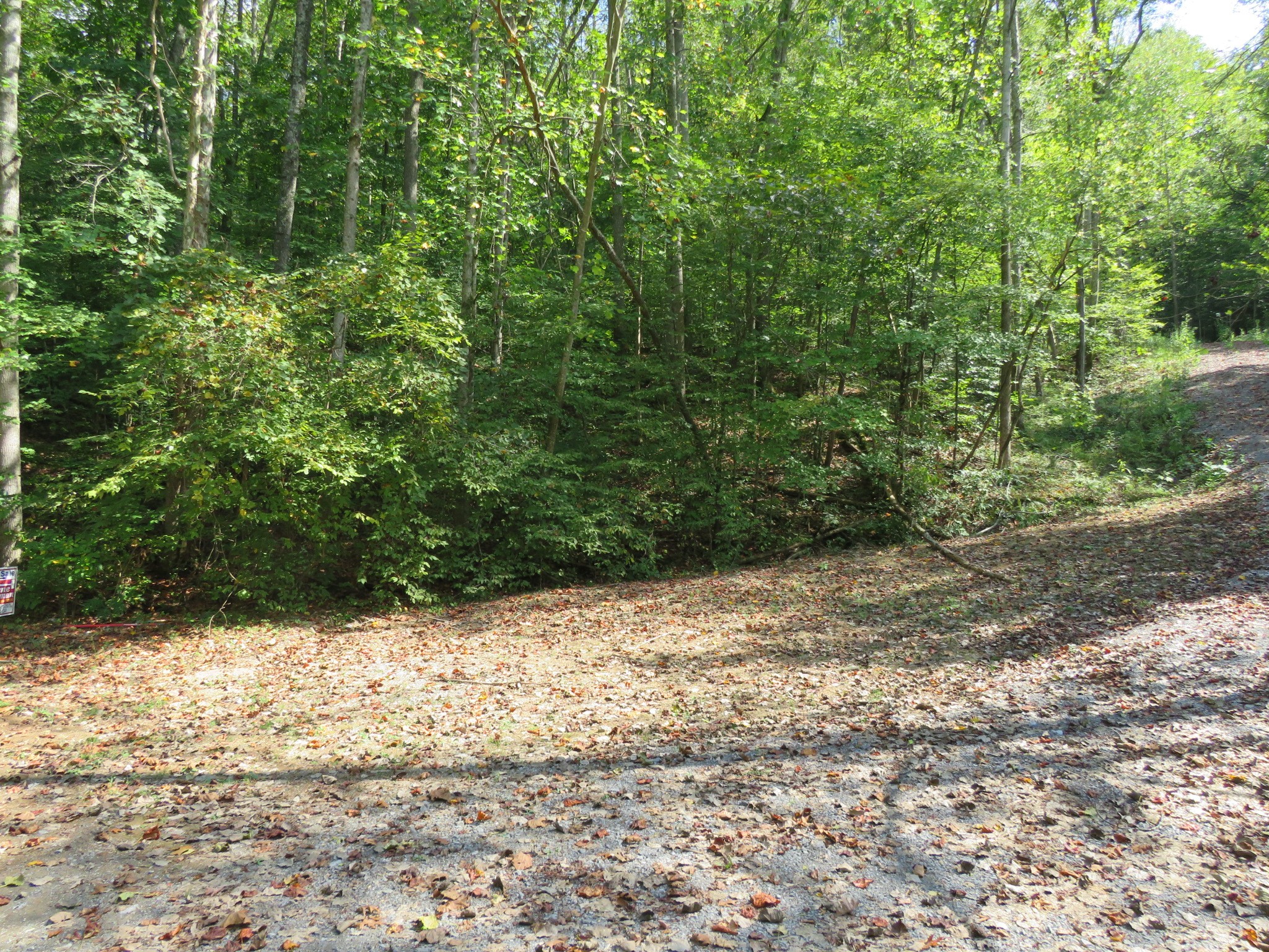 0 Bugg Hollow Road Gallatin, TN 37066 - Photo 2 of 3