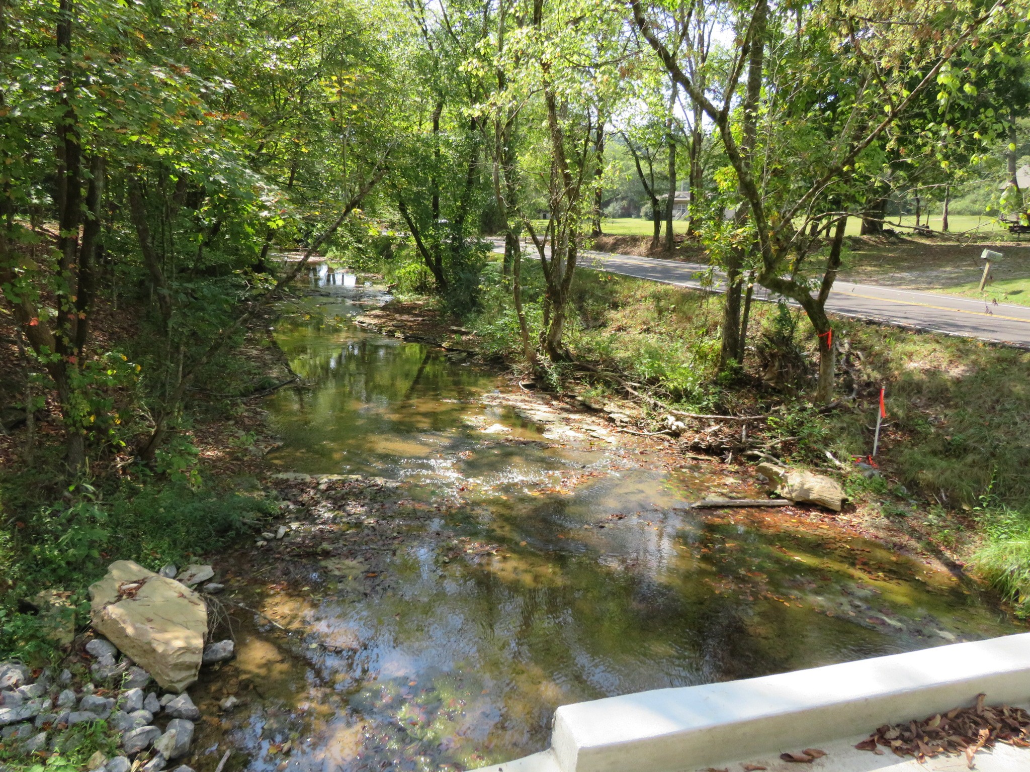 0 Bugg Hollow Road Gallatin, TN 37066 - Photo 3 of 3