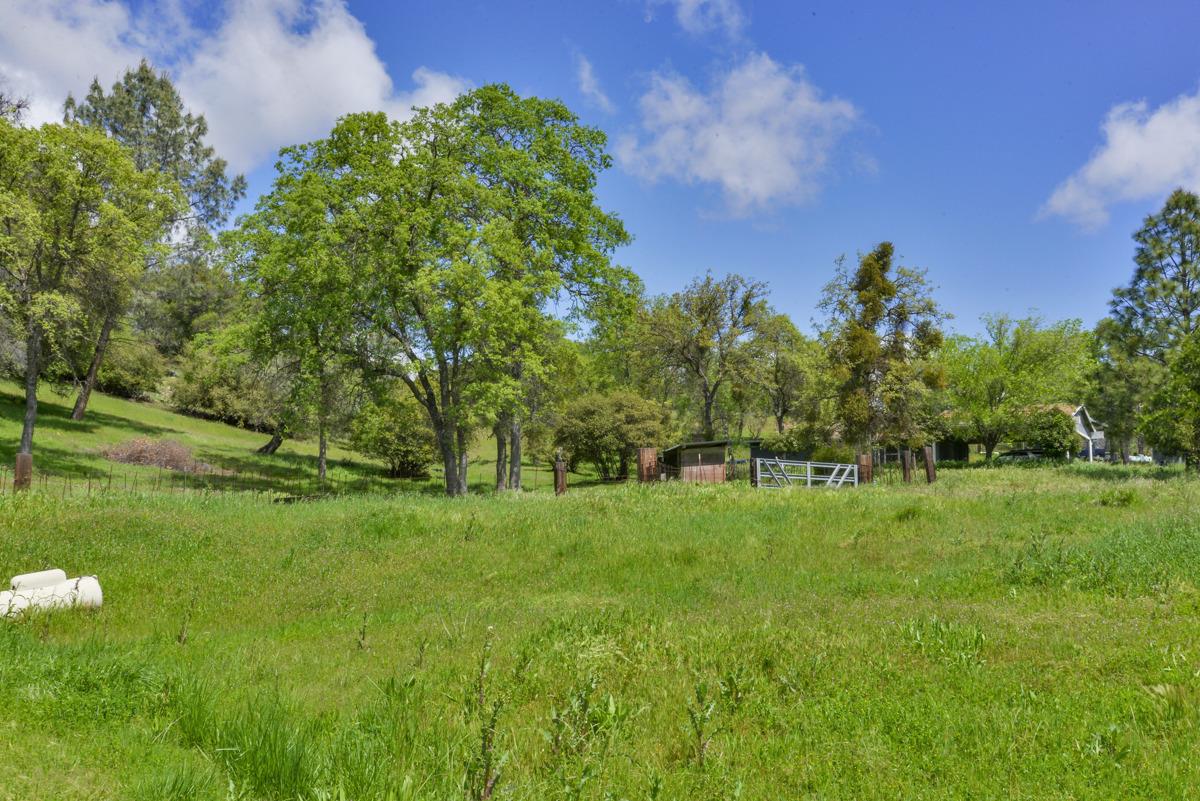 32263 Hadley Road O'Neals, CA 93645 - Photo 44 of 51 Gallery Image 44