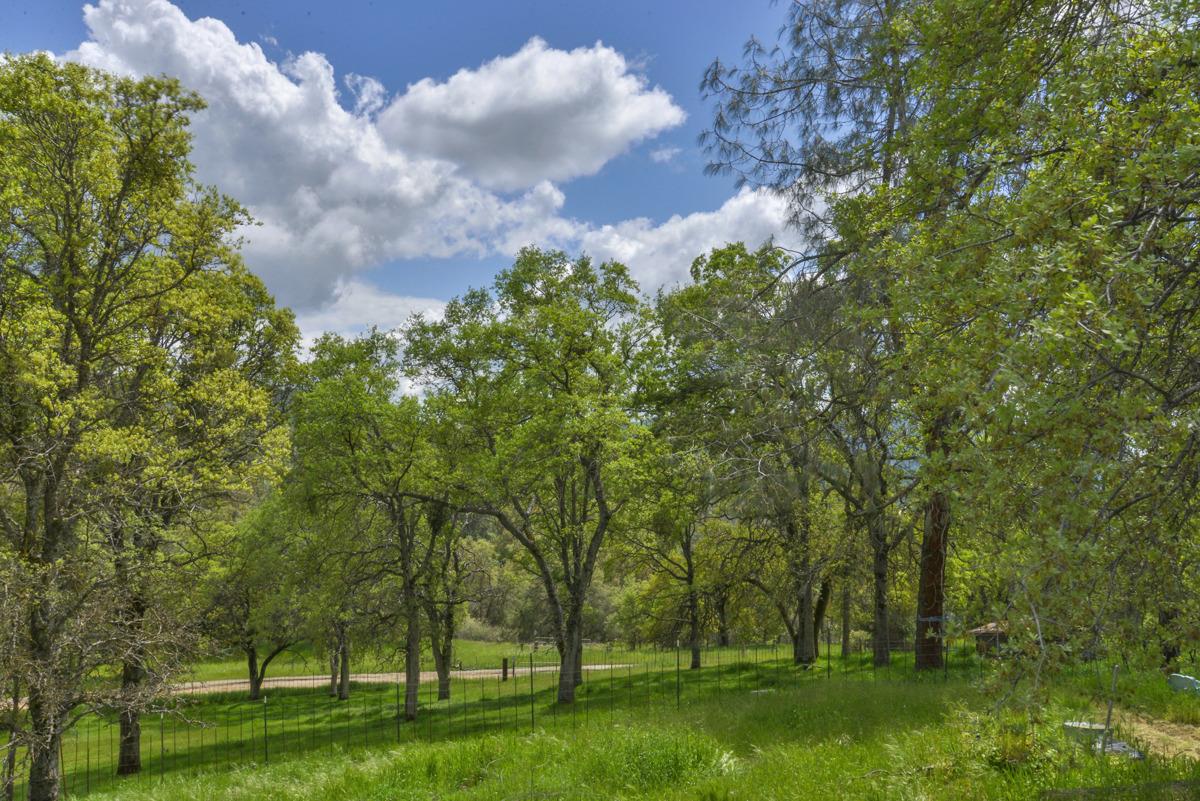 32263 Hadley Road O'Neals, CA 93645 - Photo 50 of 51 Gallery Image 50