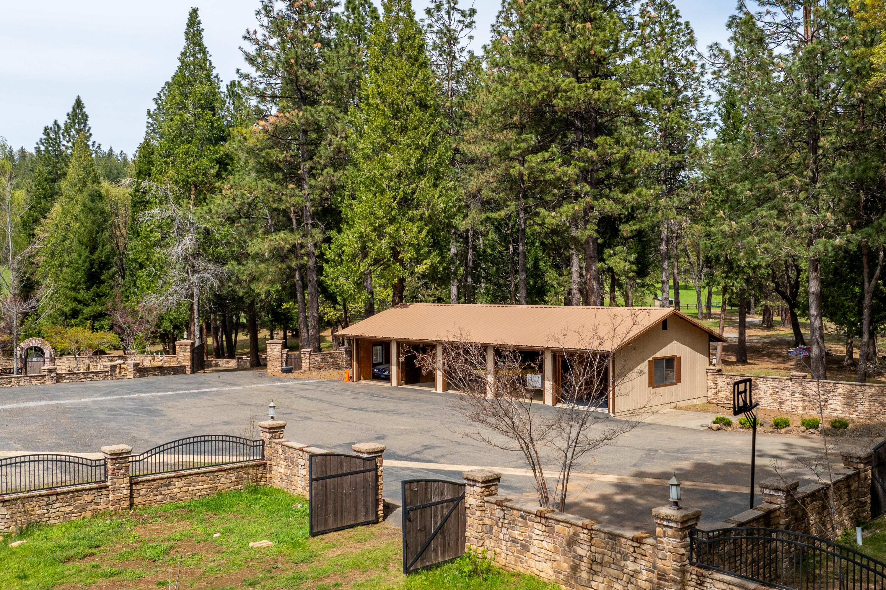 14388 Fern Road Whitmore, CA 96096 - Photo 17 of 44 Bear Mountan Ranch Images-38