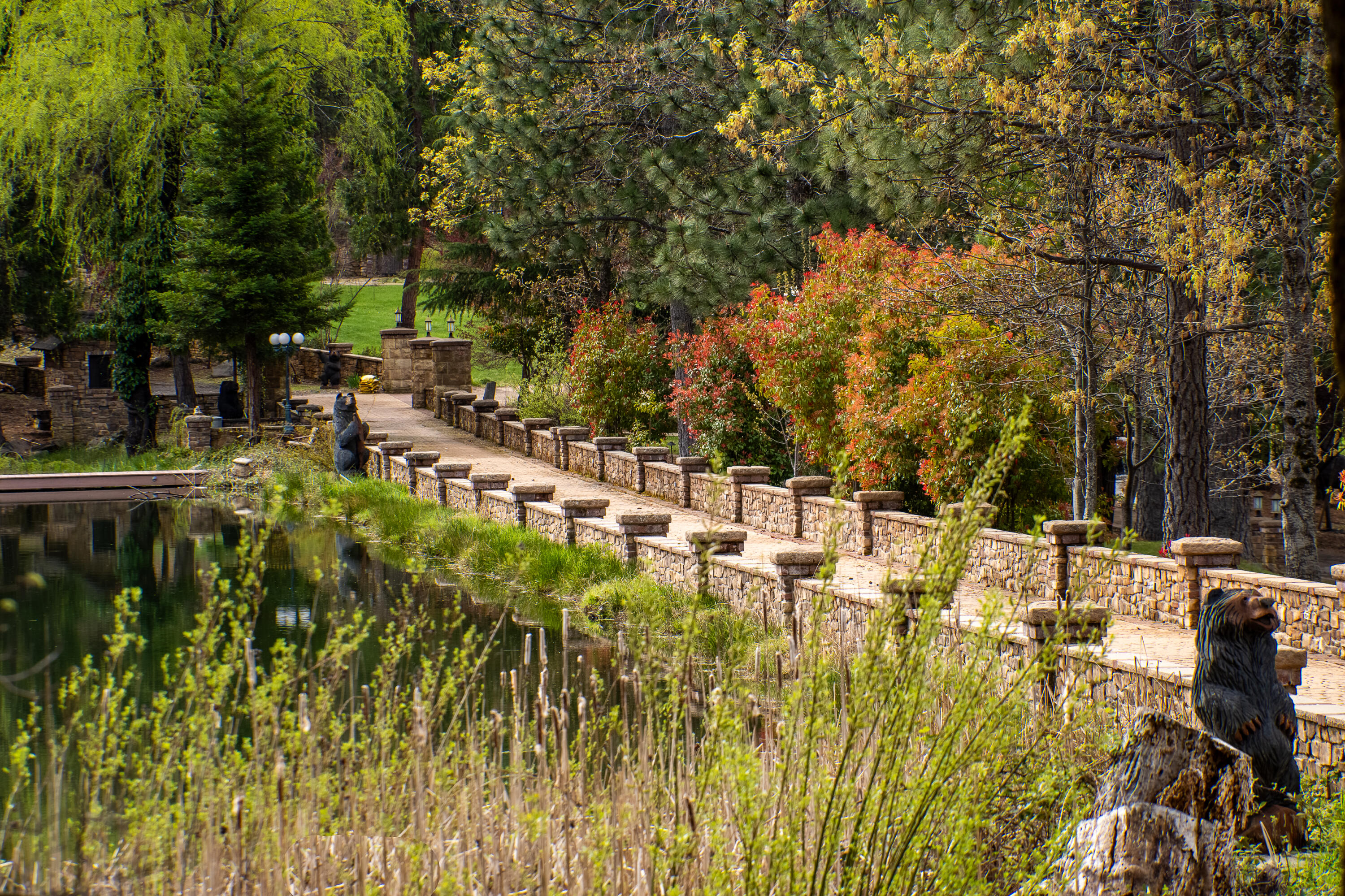 14388 Fern Road Whitmore, CA 96096 - Photo 19 of 44 20 Bear mtn