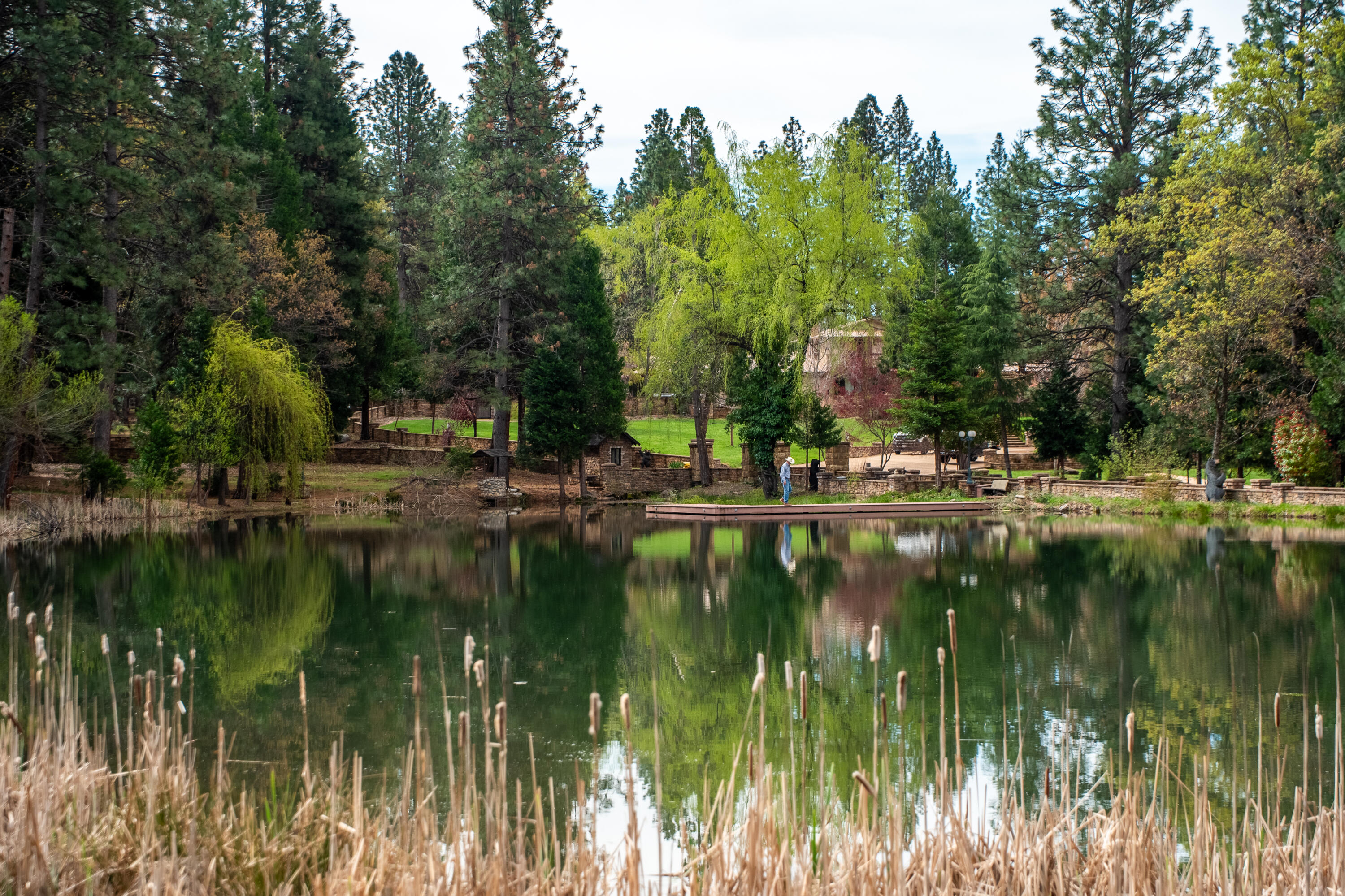14388 Fern Road Whitmore, CA 96096 - Photo 21 of 44 23 Bear mtn
