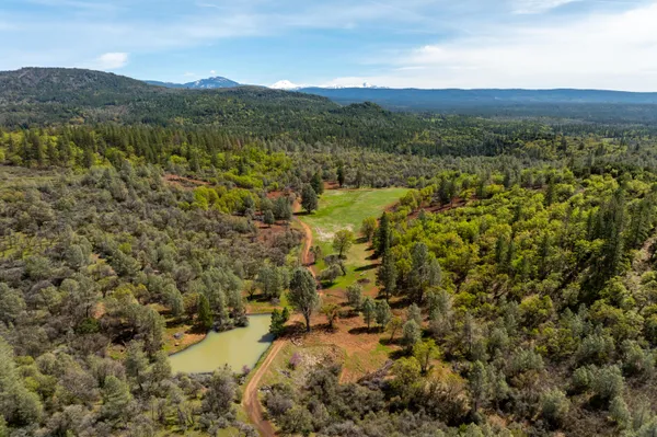 $5,900,000 | 14388 Fern Road, Whitmore, CA 96096