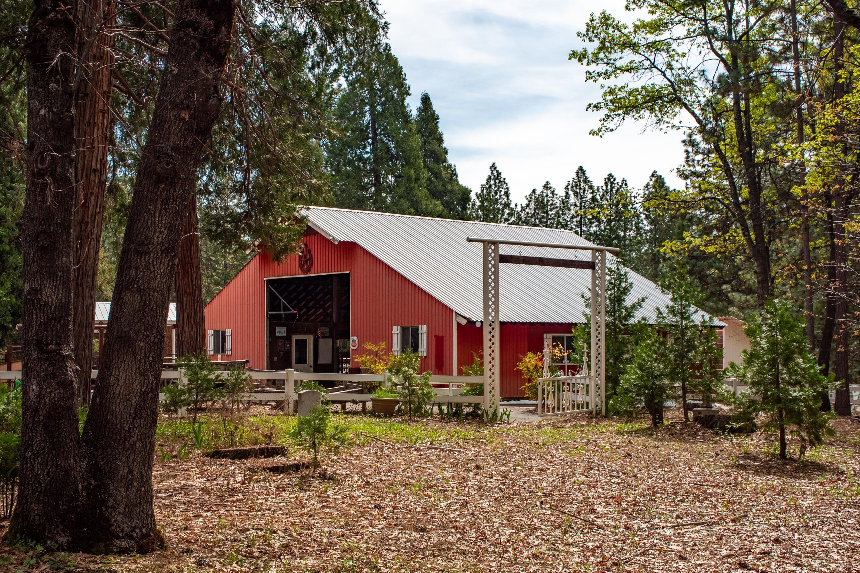 14388 Fern Road Whitmore, CA 96096 - Photo 36 of 44 38 Bear mtn