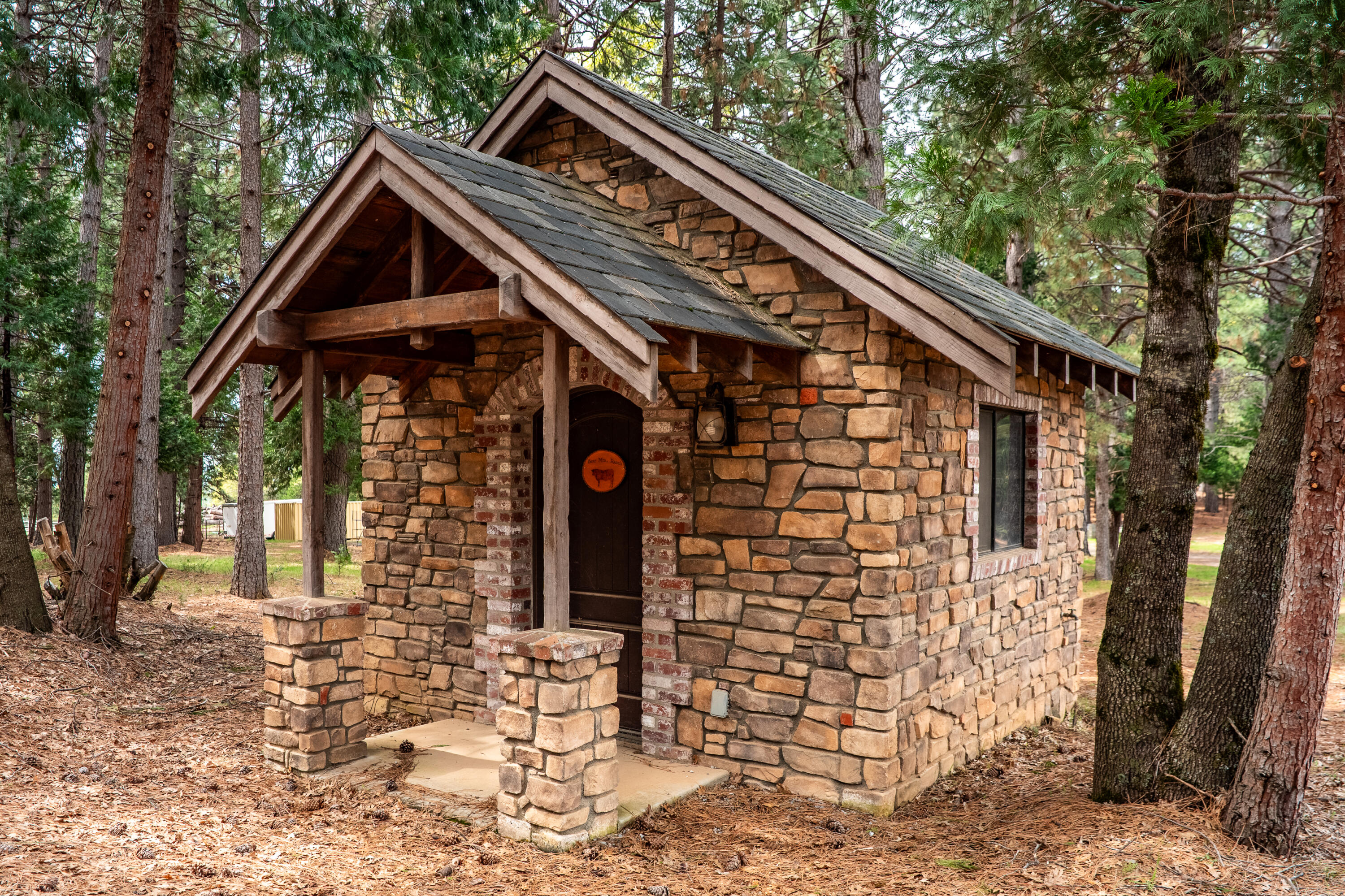 14388 Fern Road Whitmore, CA 96096 - Photo 39 of 44 41 Bear mtn