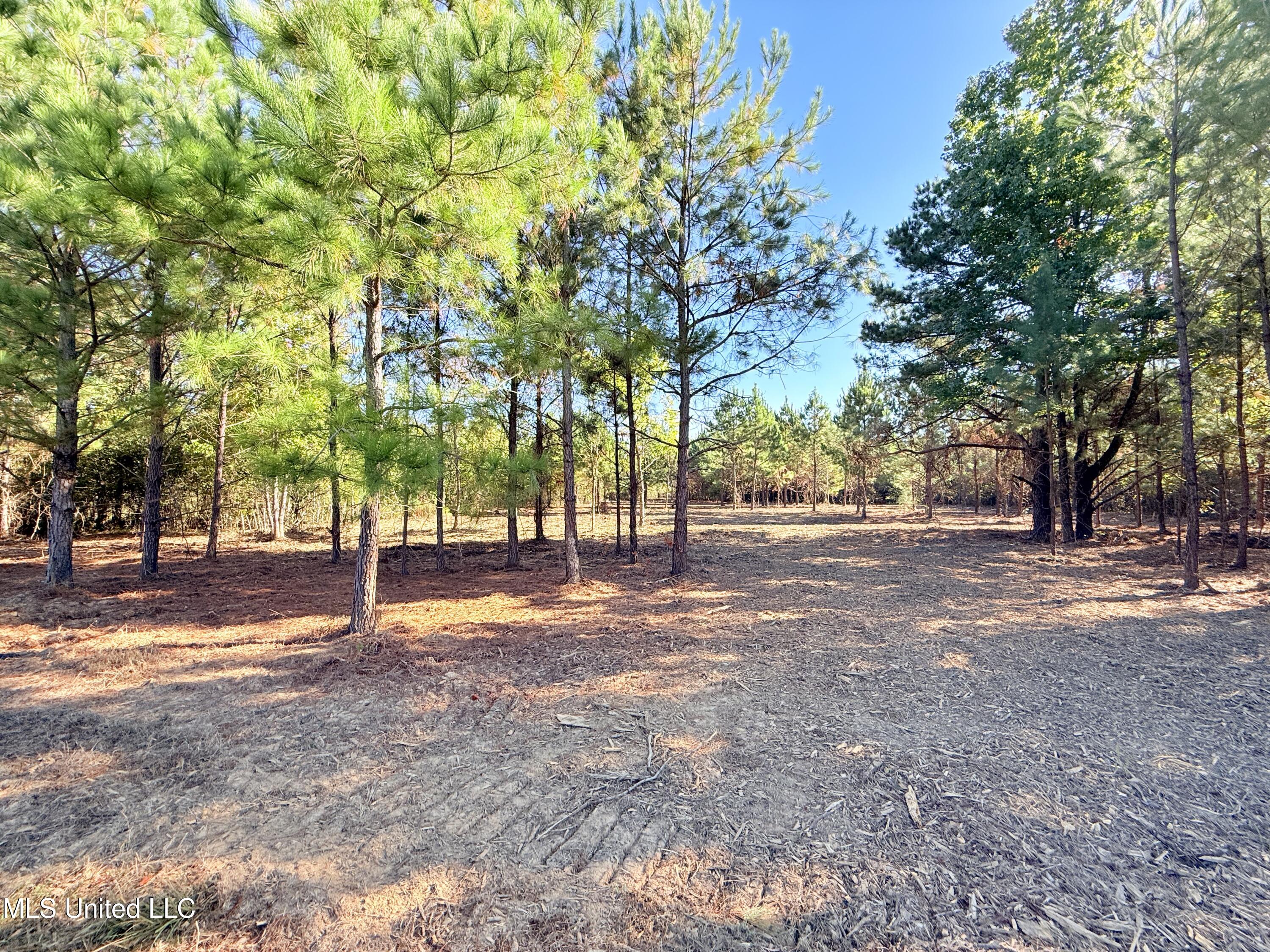 Windfall Trail Canton, MS 39046 - Photo 8 of 29 IMG_0986
